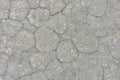 Texture of dried gray mud, dried earth Royalty Free Stock Photo