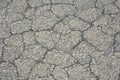 Texture of dried gray mud, dried earth Royalty Free Stock Photo