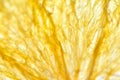 Texture dried orange fruit. Macro, art soft focus Royalty Free Stock Photo