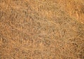 Texture of dried straw used as roof Royalty Free Stock Photo