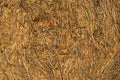 Texture of dried yellow round hay bale, front side.