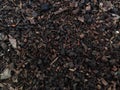 Texture of dry black tea. close up photo.