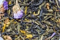 the texture of dry black tea with thyme flowers, closeup herbal ingredient drink abstraction background