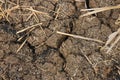 Dry cracked earth texture, global climate warming. Drought, the ground cracks, no hot water, lack of moisture. Royalty Free Stock Photo