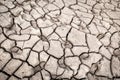 Texture of dry cracked earth. Desert, concept of time of drought and global warming Royalty Free Stock Photo