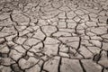 Texture of dry cracked earth. Desert, concept of time of drought and global warming Royalty Free Stock Photo