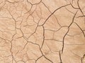 The texture of dry, cracked, scorched earth.