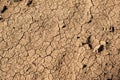 Texture dry soil background pattern of drought lack of water Royalty Free Stock Photo