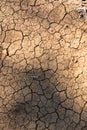 Texture dry soil background pattern of drought lack of water Royalty Free Stock Photo