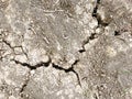 Texture of dry cracked soil due to global warming effect, aridity, drought. Top view. Nature background Royalty Free Stock Photo