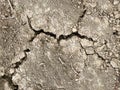 Texture of dry cracked soil due to global warming effect, aridity, drought. Top view. Nature background Royalty Free Stock Photo