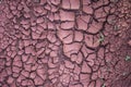 texture with dry and cracked soil Royalty Free Stock Photo