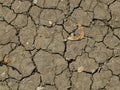 The texture of dry ground with cracks Royalty Free Stock Photo