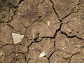 The texture of dry ground with cracks Royalty Free Stock Photo