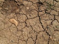 The texture of dry ground with cracks Royalty Free Stock Photo
