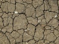 The texture of dry ground with cracks Royalty Free Stock Photo