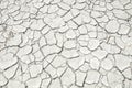 texture of dry land