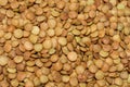 Texture of dry lentils. Close-up. Rectangular background.