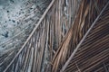 The texture of dry palm leaves on the ground Royalty Free Stock Photo