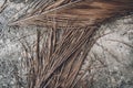 The texture of dry palm leaves on the ground Royalty Free Stock Photo