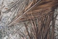 The texture of dry palm leaves on the ground Royalty Free Stock Photo