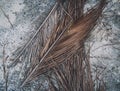 The texture of dry palm leaves on the ground Royalty Free Stock Photo