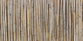 Texture of dry reeds, fence or roof made of reeds. Straw curtain background