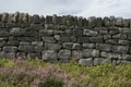 5 - Texture dry stone wall background, sunlight and plants Royalty Free Stock Photo