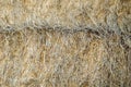 Texture of dry straw. Close-up Stack of rectangular bales of hay. Daytime. Outside. Selective focus. No people