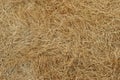 Texture of dry yellow hay. Straw background Royalty Free Stock Photo