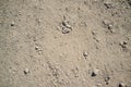 Texture of Dusty and Rocky Road with Car and Bicycle Trails