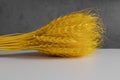 Texture of an ear of dyed yellow wheat