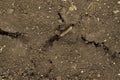 Texture of the earth with cracks from drought, the concept of lack of water Royalty Free Stock Photo