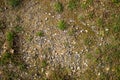 Texture of the earth with grass, cobblestones, stones.mountain landscape, steppe, forest-steppe Royalty Free Stock Photo