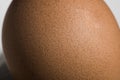 Texture egg macro Royalty Free Stock Photo