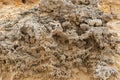 Texture of eroded stone at Petrified Forest Walk, Cape Bridgewater in Victoria, Australia.