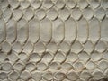 Texture of exotic leather. Python skin, white snakes.