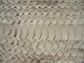 Texture of exotic leather. Python skin, white snakes.