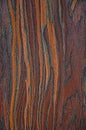 The texture of an exotic wood . The background red, orange and black stripe Royalty Free Stock Photo