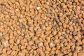 Texture of expanded clay aggregate gravel. Orange clay material for construction Royalty Free Stock Photo