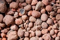 Texture of expanded clay, expanded clay Royalty Free Stock Photo