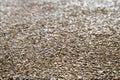 Texture of the exposed aggregate finish flooring Royalty Free Stock Photo