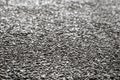 Texture of the exposed aggregate finish flooring Royalty Free Stock Photo