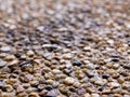 Texture of the exposed aggregate finish flooring Royalty Free Stock Photo