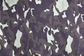 Texture of fabric with a camouflage painted in colors of the marsh. Army background image. Textile pattern of military camouflage Royalty Free Stock Photo