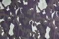 Texture of fabric with a camouflage painted in colors of the marsh. Army background image. Textile pattern of military camouflage Royalty Free Stock Photo