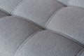 Texture fabric gray sofa with firmware