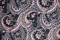 Texture fabric of retro flower and paisley Royalty Free Stock Photo