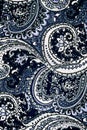 Texture fabric of retro flower and paisley Royalty Free Stock Photo