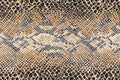 Texture of fabric striped snake leather